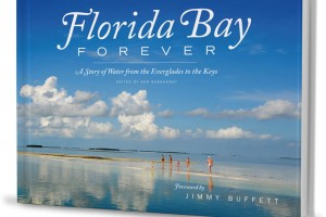 The incredible beauty of Florida Bay is apparent to all of us. What is less obvious is the decades-long, behind-the-scenes effort of dozens of conservation groups to restore the Everglades and improve Florida Bay.