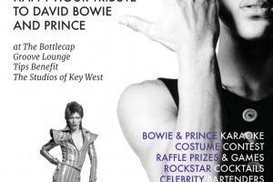 Dust off your bedazzled body suit and head to the Bottlecap Groove Lounge to celebrate the late, spectacular, David Bowie & Prince.

There is no entry fee (these idols would have wanted us to all party together for free!)

This happy hour will include the following phenomenal activities, with all tips benefiting The Studios of Key West.