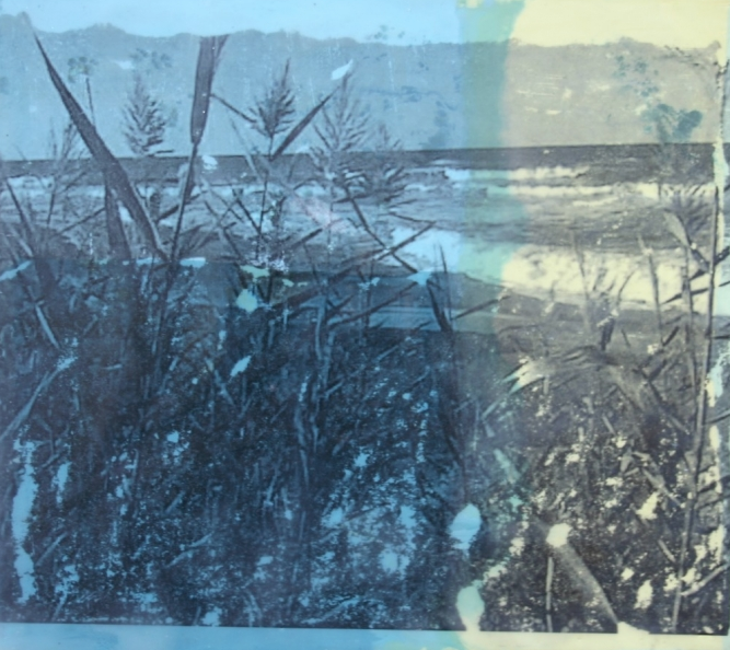 With a set of encaustic paintings and photo-transfers that feel like day dreams, the artist made famous by her 