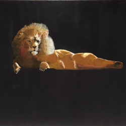 Key West Art of a lion laying down
