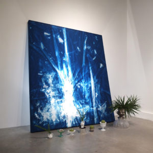 Nellie Appleby art canvas of cyanotype photo white abstract image on deep blue background