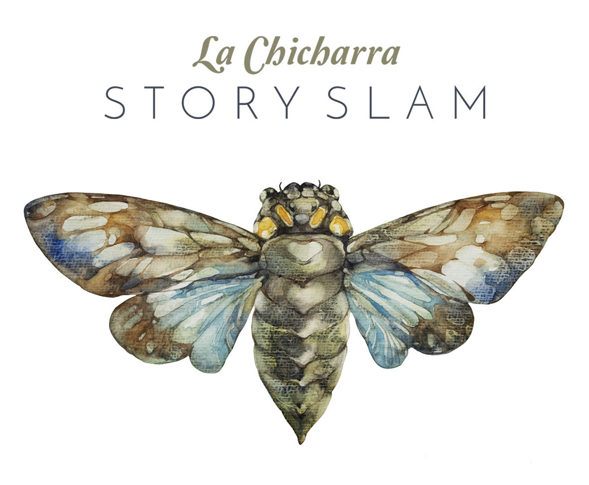 Spanish words for the Cicada in grey script with the words Story Slam above the painting of the bug