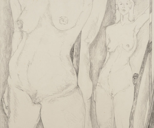 Sketch of the front of a naked woman standing in front of a mirror, with her reflection also facing forward