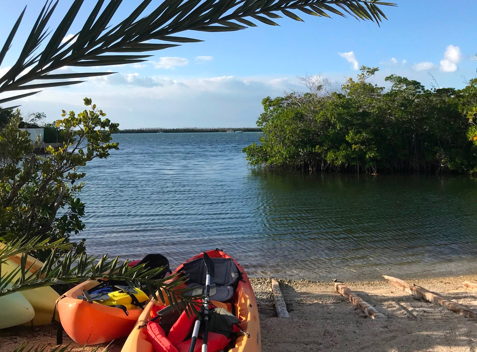 Two orange kayaks on a beach looking out at the ocean with a mangrove island ahead.