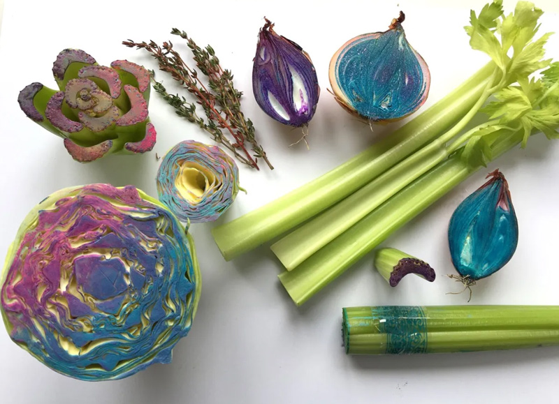 Vegetables (cabbage, onions, herbs, celery stalks) painted with dye to be used for printmaking.