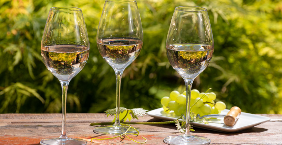 Let your palate travel the globe on the Sauvignon Blanc express! Come try over 25 different Sauvignon Blancs from all over the world. There will be light nibbles as well as a contest for who has the most spring-influenced outfit.