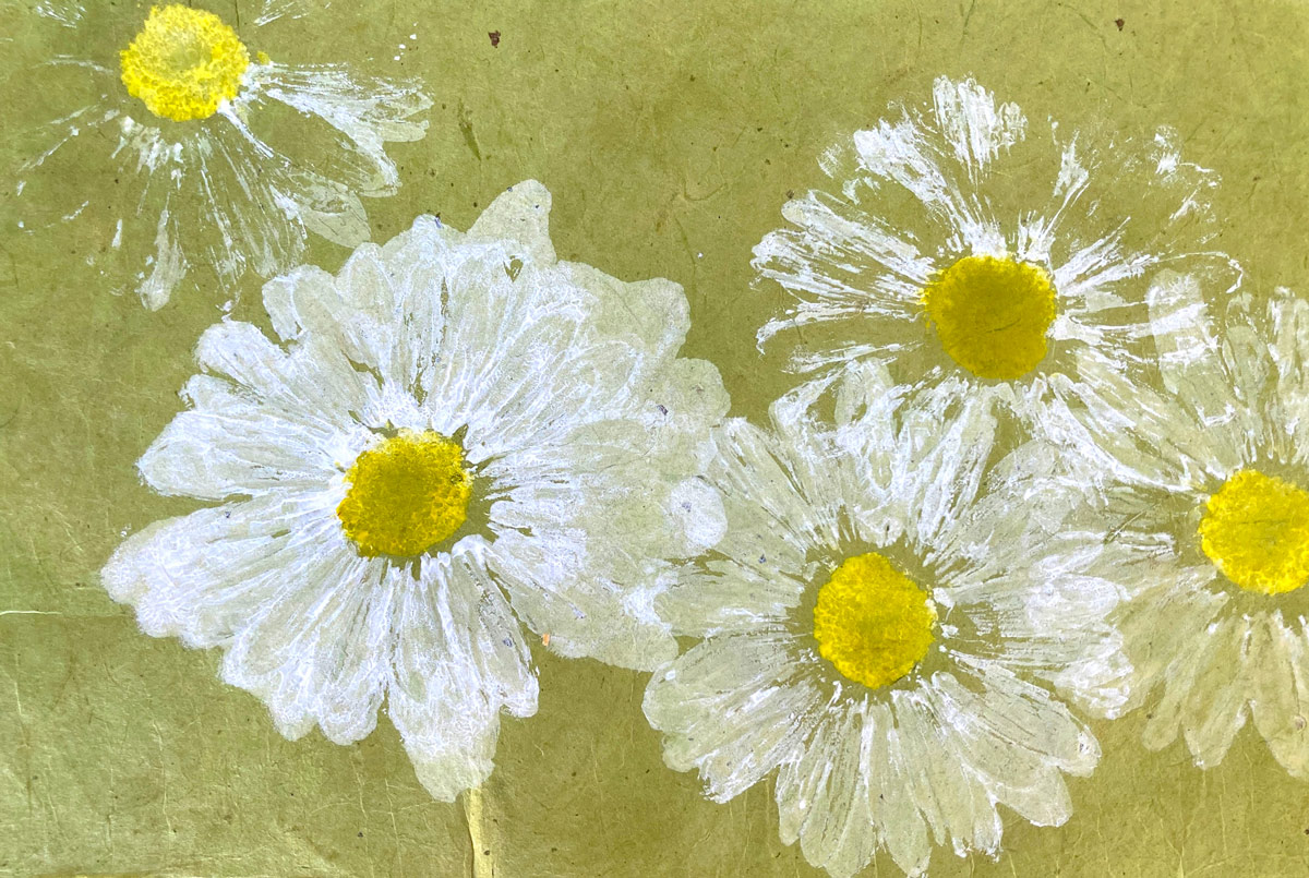 Record the intricate beauty of plants and natural objects using easy, fun, and accessible nature printing techniques.