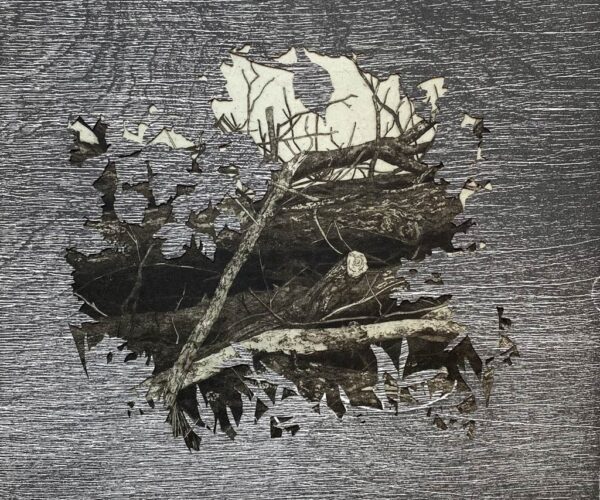 Textured monochrome print showing a dense cluster of branches with jagged cutouts, giving the impression of fragmented or eroded wood.