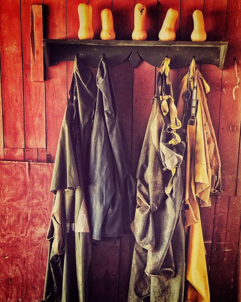 Hanging aprons in muted colors line a wooden wall beneath a shelf holding butternut squashes, all bathed in warm, vintage light.