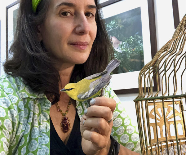 self_portrait_with_BWWA_web Carolyn Monastra, wearing a green patterned shirt and a bright green headband, holds a small bird sculpture in her hand while seated beside a decorative birdcage. Framed photographs of nature hang on the wall behind her.