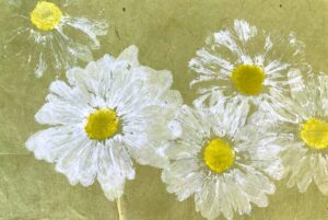 Hand-printed white daisies with yellow centers on textured green paper.