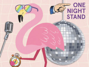 Graphic of a pink flamingo in sunglasses standing next to a microphone and large disco ball, with a pointing hand above and the title “One Night Stand” displayed vertically.